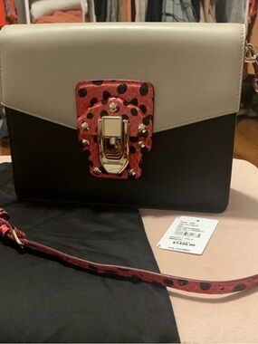 Dolce and gabbana purse